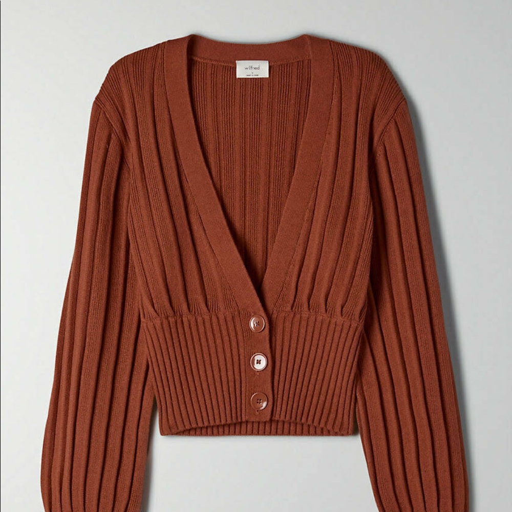 Aritzia caridgan
